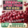 沧州河北散装农家红枣