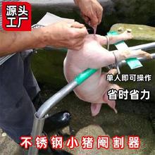 仔猪阉割保定架支架绑缚专用设备敲猪器兽用兽医壁挂式阉刀固定器