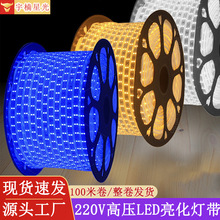 跨境高亮防水工程亮化220V高压LED灯带2835软灯带双直排120珠灯带