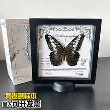 ������˱��Ҹ������Ҿ����w�b[���������նY����ս̌W��Ʒ