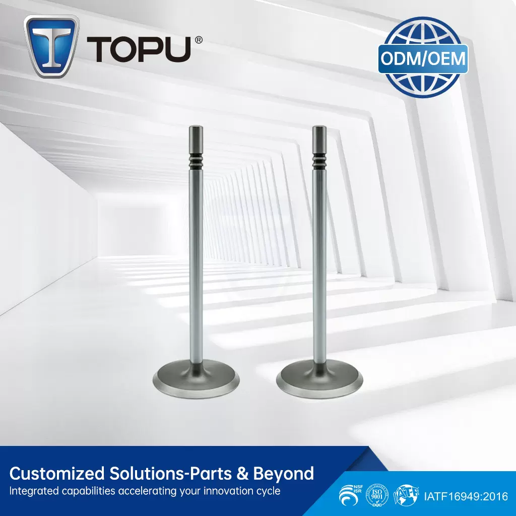 F1AZ6507A F5AE6507AA FORD LOBO EXPEDITION 4.6L 16V发动机气门