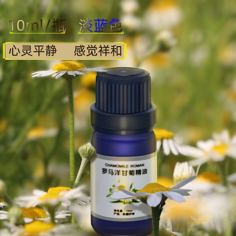 新疆伊犂ローマ洋甘菊10ml片方精油洋甘菊精油水色無酸化新品|undefined