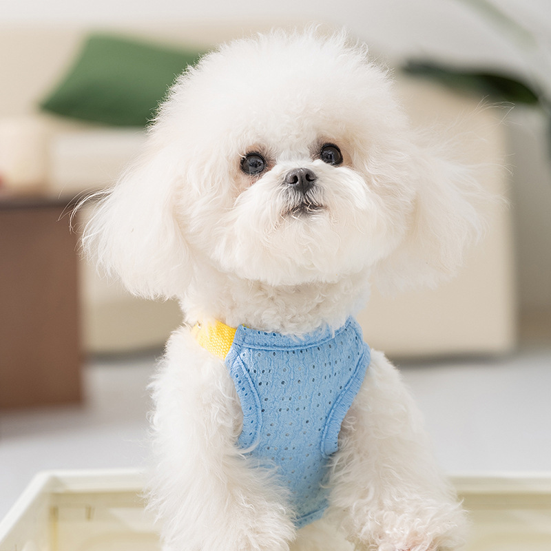 Perro primavera y verano transpirable delgada correa hueca impresa chaleco de dibujos animados Teddy perros pequeños gatos ropa de mascotas