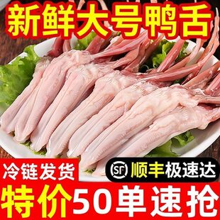 ����S��4���̖�������r���r����ڗlȥ��̦��̎����؛�������