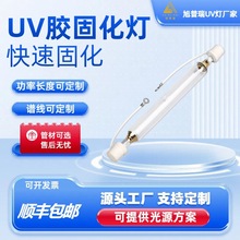 uv胶固化灯 紫外线灯 uv灯 无影胶固化汞灯 uv紫外线固化灯 汞灯