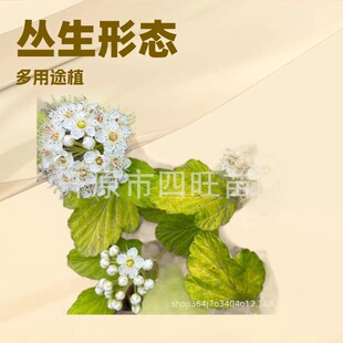 2026�½����ɸ��C�������~�L��� ���~����� �ͺ����~��ľ�a��