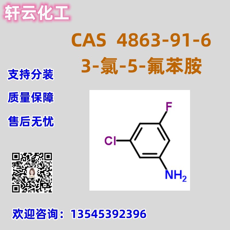 3-氯-5-氟苯胺 库存现货 CAS 4863-91-6 品质保证 可按需求分装