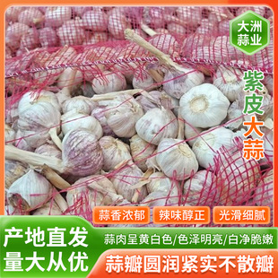 2025��������ڼ�ԭƤ�℃�����Ã��|ԭƤ�⣬����M����