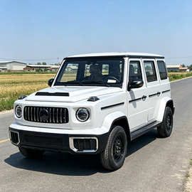 HY新款老年代步电动四轮车油电两用封闭式新能源汽车家用低速车