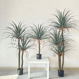 ���W�L���愦���F��ֲ����������b������m�Gֲ�٘� ���U��Ѫ��