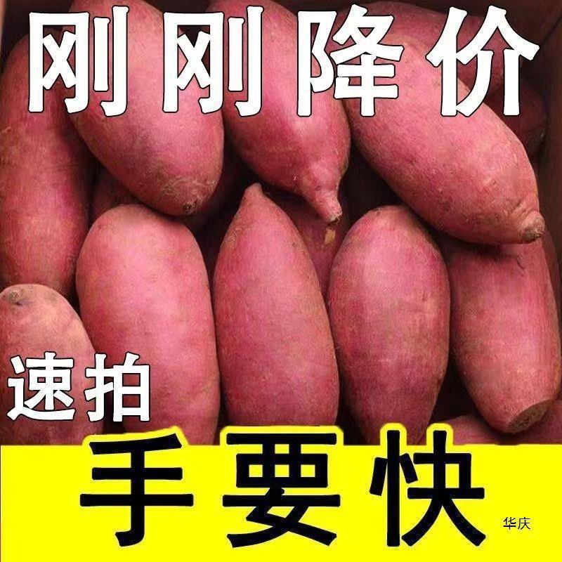 新鮮なさつまいも 4.5kg チェストナット サツマイモ シュガーハート サツマイモ 農園産 サツマイモ 煙サツマイモ 黄色いサツマイモ 赤いサツマイモ|undefined