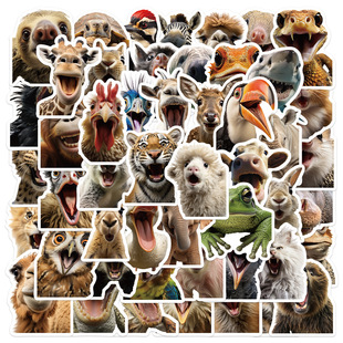 50���ɐۿ�ͨ��Ȥ�Ą���Ę�N���Pӛ����X�����䱣�ر��羳�N��