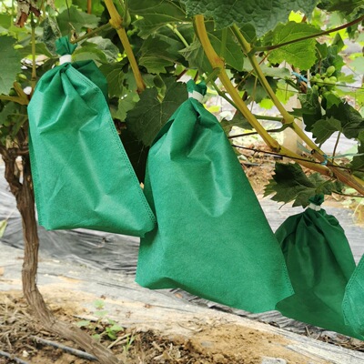 Open air Non-woven fabric grape Bagging Wire Fruit-bearing forest greenhouse ventilation Pest control Bird Melon and fruit protect Bagging