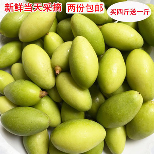 �Fժ�ϙ����r���ϙ�500g���ϙ������ЋDˮ���V�|�����خa�r�י�