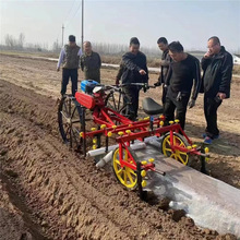 �r�ù����Ĥ�C С�͹����Ĥ�C�� �����C���wĤ�C