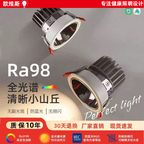 Ceiling light for living room
