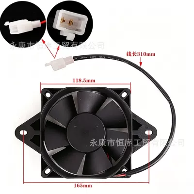 Plastic Fan, Fan