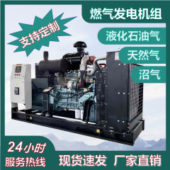 沼气发电机20千瓦380V 养殖厂备用燃气发电机组20kW 工厂直销