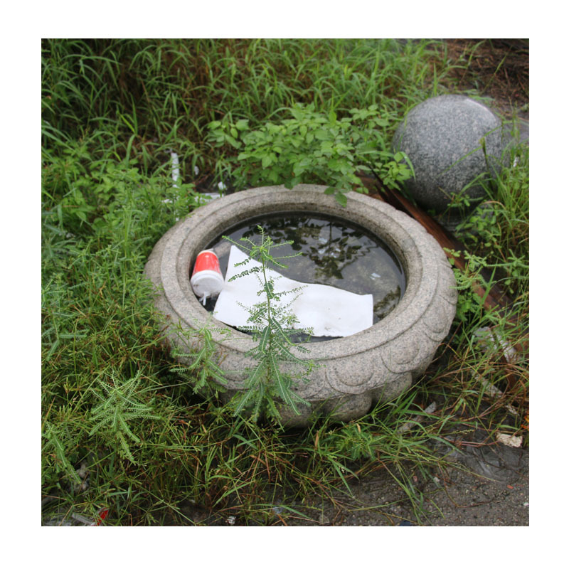 �����һ���ʯ�񻨲� | ���⾰���������� | �Ƶ깫˾ͥԺ�ڼ�