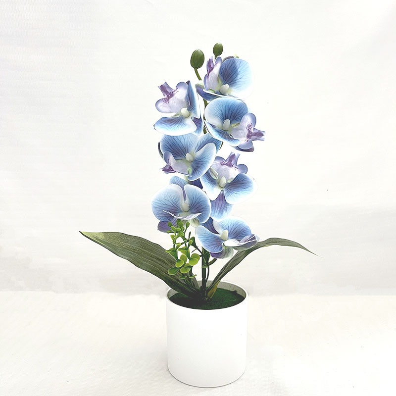 블루(높이 31*폭 20cm)