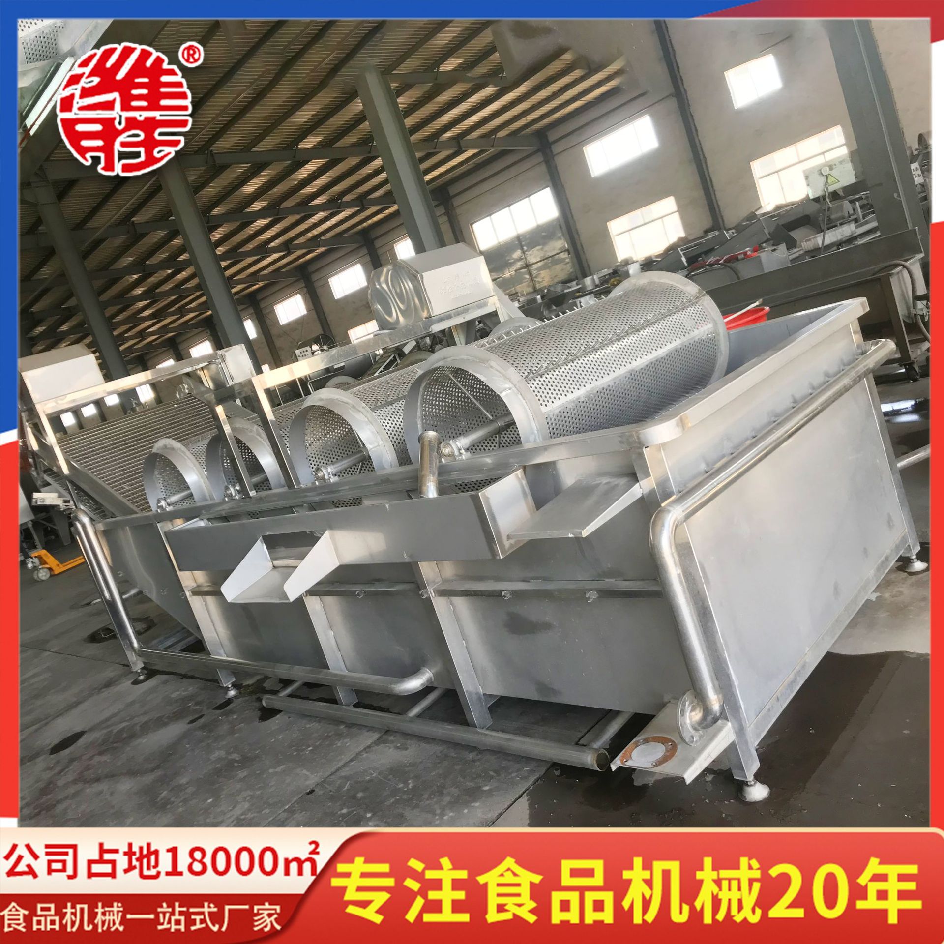 芽菜类去杂清洗机设备  黄豆芽绿豆芽去皮清洗机设备 果蔬清洗机