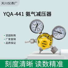 上海减压器 YQA-441 1*6MPa 天川牌 氨气减压器 氨气表 减压阀