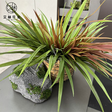 �¿��֧�m���~�L��ݾG���b��[�ݷ����JȔ�ݲ݅��쾰���m��