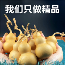 ����С���J����Ȼ���r���J�b����^�ְѼ���������С�ֶ�����