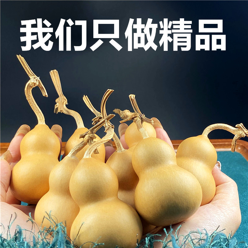 手捻小葫芦纯天然新鲜葫芦装饰龙头手把件把玩草里金小胖墩梨挂件