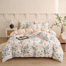 网红直播爆款莫代尔棉四件套小清新2025新款加厚保暖被套床单亲肤