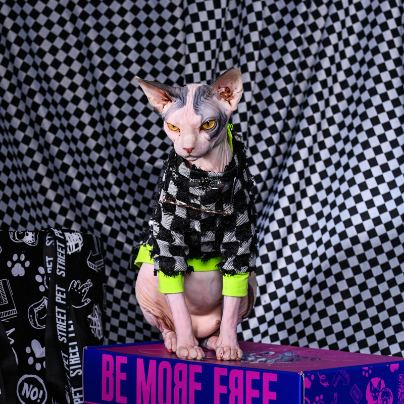 Black and white cat clothes male cat handsome cool Siam Rosfinx Devon sweater small dog pet clothing