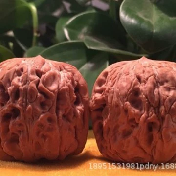 Прививка американской Золотой головы обезьяны Вэнь Играть Саженец грецкого ореха Круглый маленький тыквенный грецкий орех Посадка фруктовых саженцев года