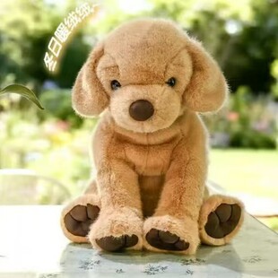 �����������๷���F؛���N�ɐ۽�ë���S����������ż��ͯ��鹫��