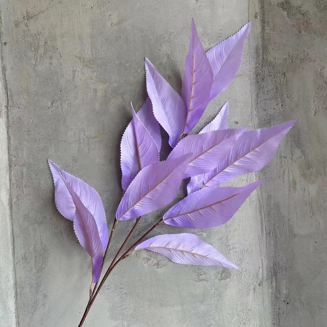 b20bc50af00bf0ad11720ae332c0e7