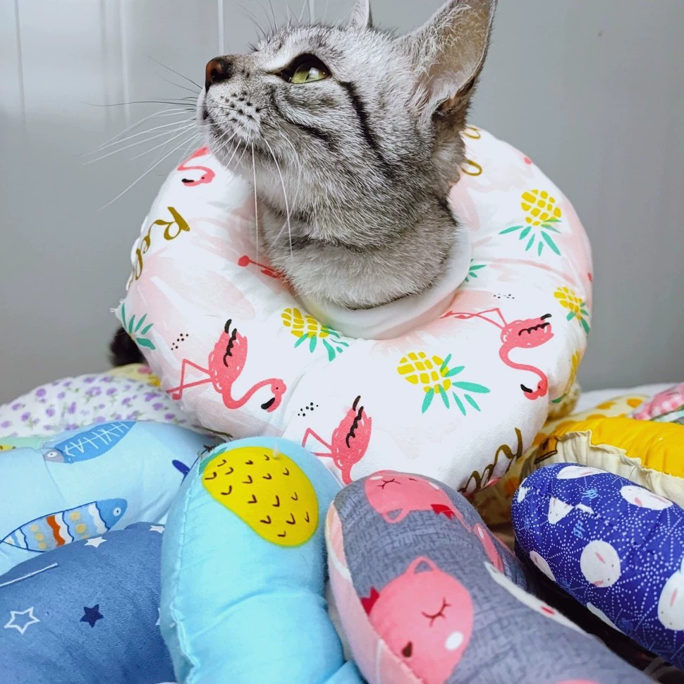 Pet Elizabeth Circle 5 ярдов дополнительная поддержка поколения волос