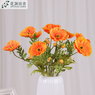 EVE���ڻ����滨 ƽ�������˻�c�Ҿӿ͏d�b廨���ļٻ��[��