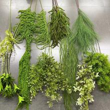 2025�¿�����~�ӾGֲ��Y�õ�픻�c��������·���J���ݻ��ű���