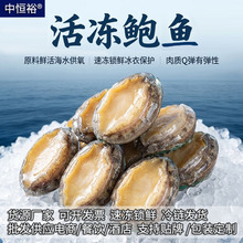鲍鱼鲜活冷冻批发全规格 佛跳墙红烧切片清蒸材料海产品冻品