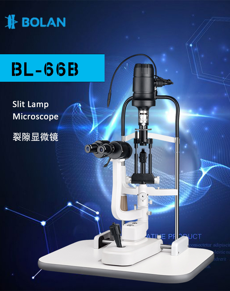 BL-66B_01.jpg