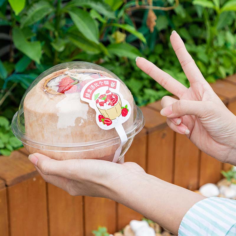 椰子冻包装盒吸塑圆形盒子水果捞慕斯球蛋糕透明椰奶冻加厚打包盒