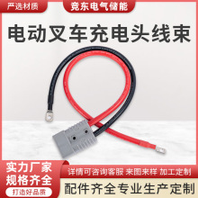 ����ɭ���^���l50A�����z��늄Ӳ�܇�늳��ƿ������Դ�B����