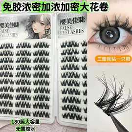 免胶浓密大花卷假睫毛收纳书单簇分段式自粘款盒子装上镜