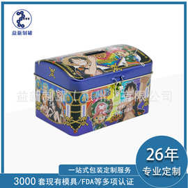 定制马口铁长方形翻盖铁盒 收纳手提午餐盒子 曲奇饼干礼品金属罐