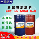 鱼池污水池天冬透明聚脲防水涂料单组份手涂双组份喷涂透明防水胶