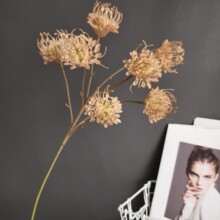 ���滨���ļҾ��b羳��c���l�ٻ� ���W7�^�������S��������l