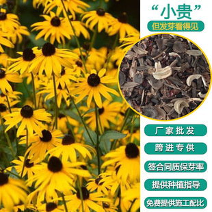 ���ľջ��ܷN��Դ�^�S�����l�������F؛�lѿ��Ʒ�|�߻�����