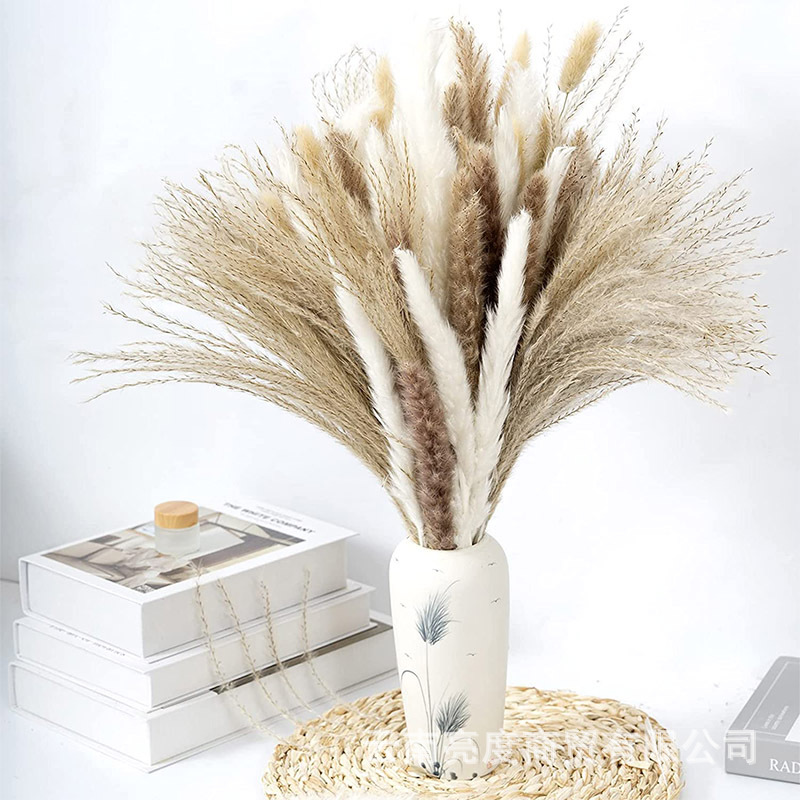 Pampas naturales ramo de flores secas cola de conejo hierba pequeña Reed polvo Reed madera estilo bohemio decoración del hogar