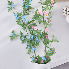 ���ټٻ��ٗl�r�տ��{�ܵ�늾������p�@�҃Ȼ��l�����b��ړ�