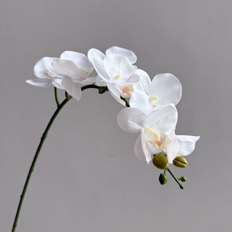 模擬感触胡蝶蘭シングルハイエンド装飾品白造花フィルム結婚式ホームソフト装飾フラワーアレンジメント|undefined