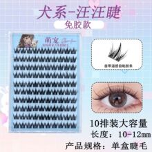 Ȯϵ�ٽ�ë���z�����޹����ۆδ���Ȼ�������ּ�Ұ�����о��N���R